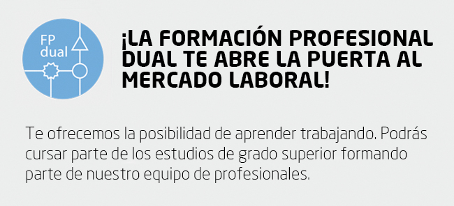 formación dual