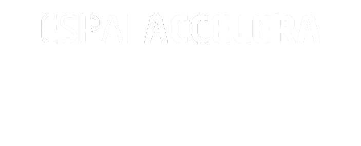 Espai Accelera Formació per la inclusió - Espai Accelera - Formación para la inclusión