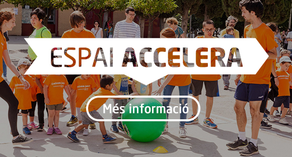 Discapacitat intel·lectual - Capacit'add - Discapacidad intelectual