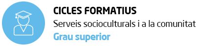 serveis grau superior