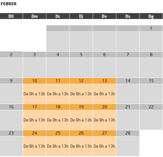 curs subvencionat director de lleure cet10 barcelona