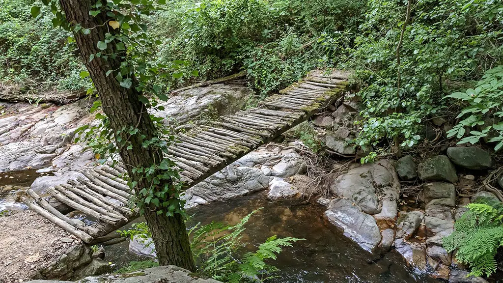 Parc Mediambiental de Gualba