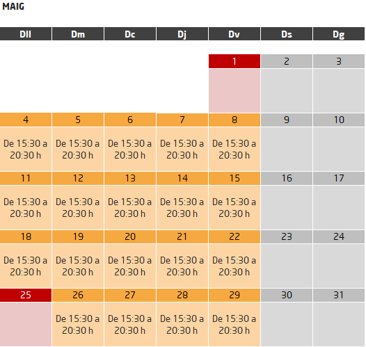 curs subvencionat monitor de lleure cet10