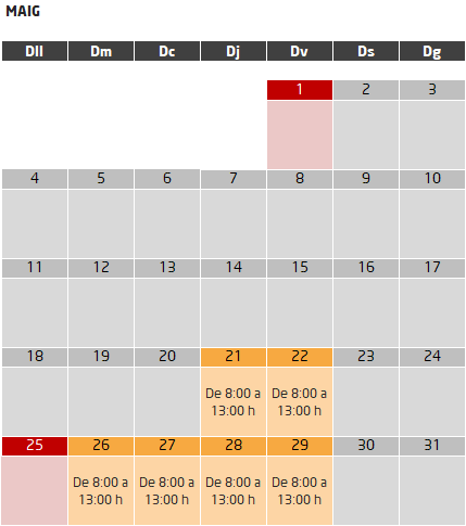 Director de lleure curs subvencionat calendari mes de maig