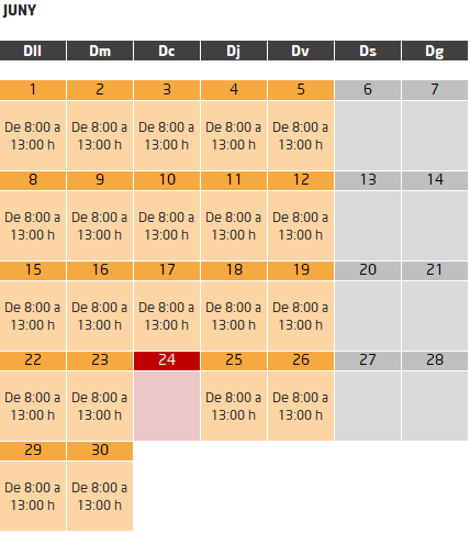 Director de lleure curs subvencionat calendari mes de juny