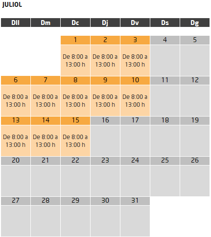Director de lleure curs subvencionat calendari mes de juliol