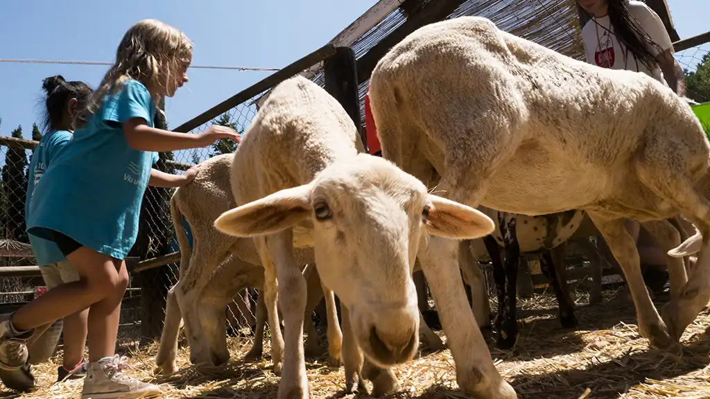 sortida natura cet10